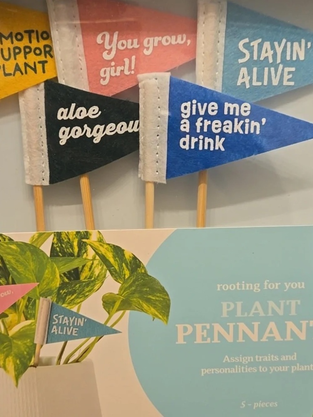 Seed & Sprout Plant Pennants